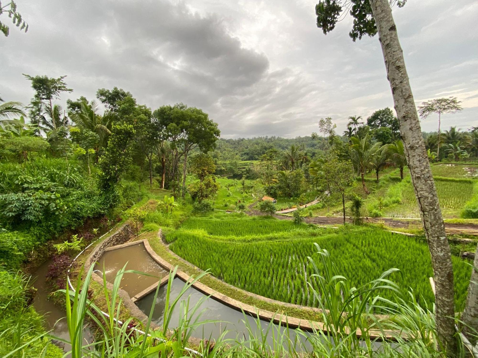 The Alam Tetebatu Bungalow & Restaurant 外观 照片