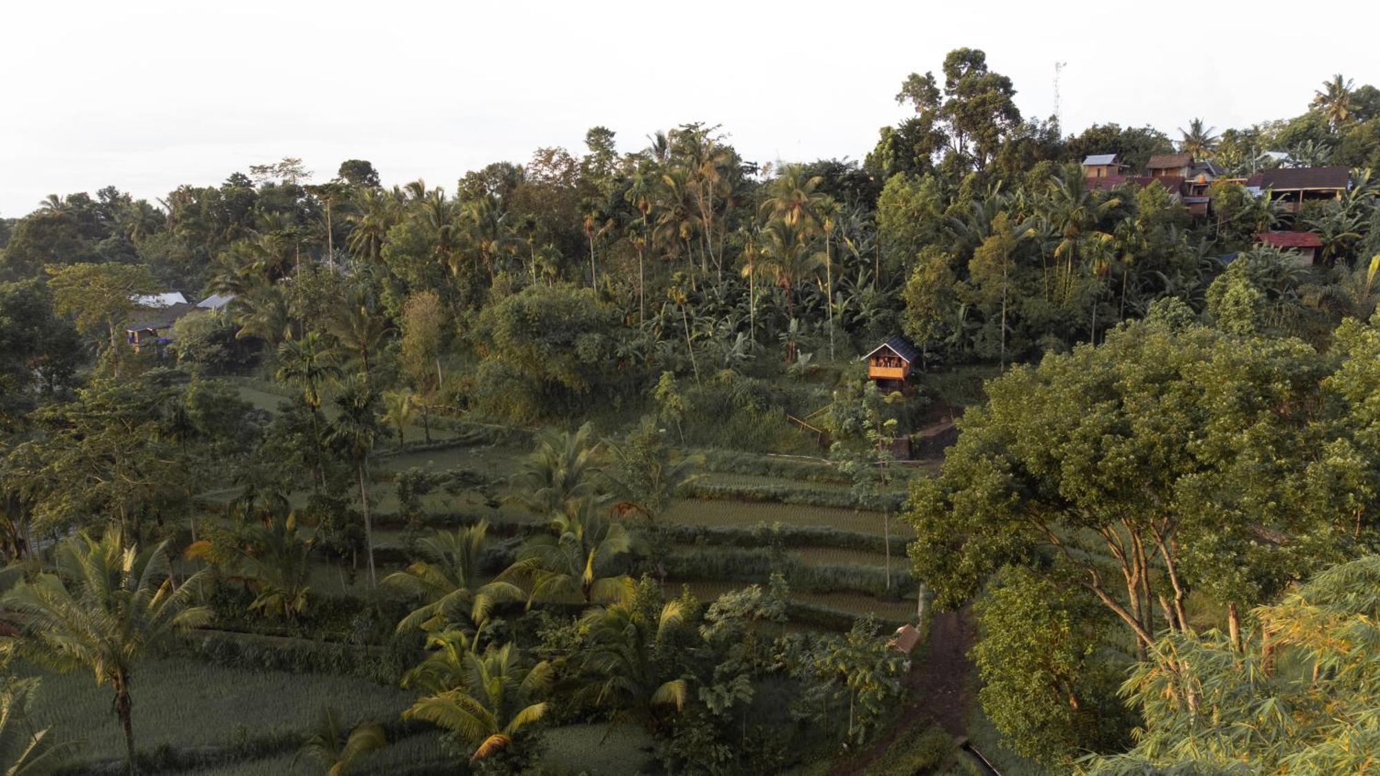 The Alam Tetebatu Bungalow & Restaurant 外观 照片