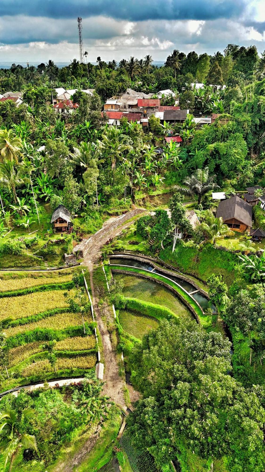 The Alam Tetebatu Bungalow & Restaurant 外观 照片