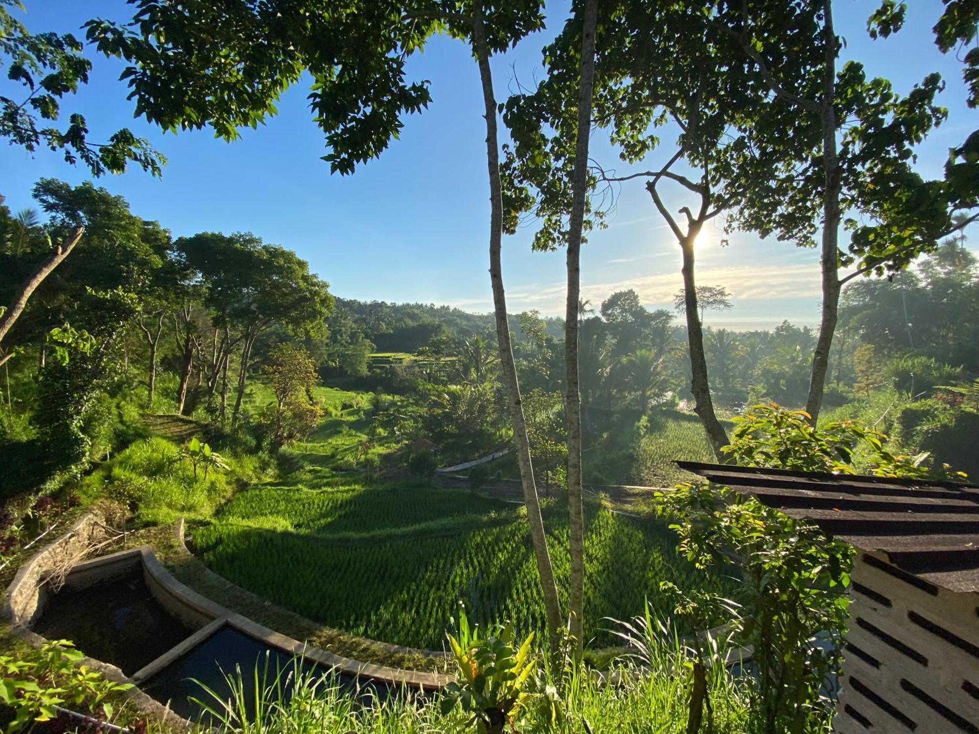 The Alam Tetebatu Bungalow & Restaurant 外观 照片