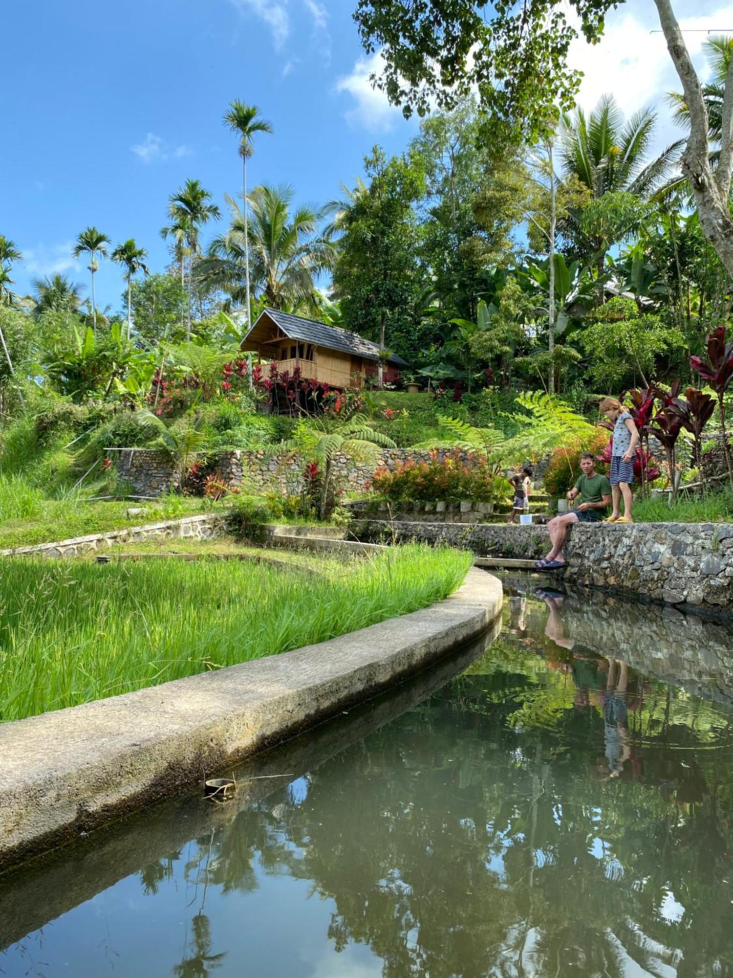 The Alam Tetebatu Bungalow & Restaurant 外观 照片